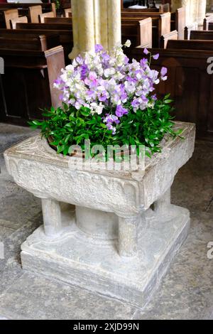 Fonte del XII secolo nella chiesa parrocchiale di Netherbury. Originariamente collocato su una singola colonna di pietra senza pilastri, gradino e base - John Gollop Foto Stock