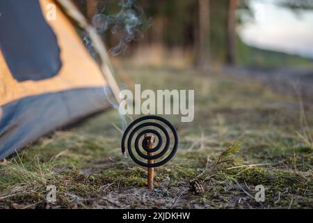 Bobina repellente per zanzare bruciata con fumo nella foresta vicino alla tenda, protezione da insetti succhiatori di sangue Foto Stock