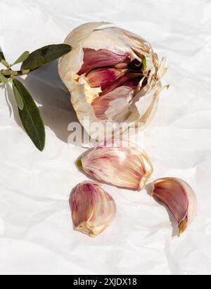 Immagine verticale di un bulbo d'aglio con tre spicchi d'aglio sciolti e un ramoscello d'oliva su sfondo bianco testurizzato. Foto Stock