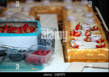 Una grande torta è decorata con frutti di bosco freschi e meringa. Profondità bassa del campo Foto Stock