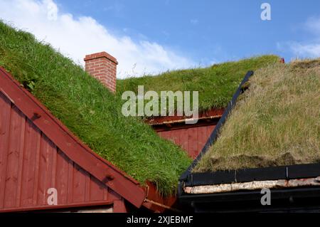 Turf edifici con tetti a Torshavn, Isole Faerøer Foto Stock