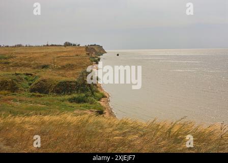 Scogliere argillose di 30 metri sulle rive dell'estuario di acqua dolce Dnieper-Bug a causa dell'erosione dell'acqua. Calette e coppe asciutte. Resti di gradino per erba non lavorata Foto Stock