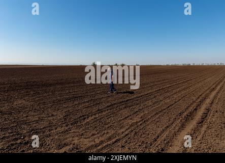 Agricoltore anziano in piedi sul campo che esamina la semina. Foto Stock