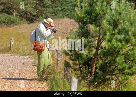 Donna che scatta foto, alberi, pini, sentieri escursionistici, riserva naturale, Darßer Ort, nato a. Darß, Meclemburgo-Pomerania occidentale, Germania Foto Stock