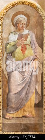 SPELLO, ITALIA - 18 MAGGIO 2024: L'affresco della Vergine Maria nella chiesa Collegiata di San Lorenzo di un artista sconosciuto Foto Stock