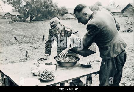 Una fotografia mostra i soldati tedeschi in un campo temporaneo, che preparano il loro dolce di mirtilli rossi appena raccolti. Questa scena fornisce uno sguardo sulla loro vita quotidiana durante l'operazione Barbarossa nel 1941, mentre avanzavano verso il fronte orientale. Foto Stock