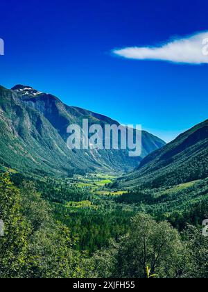 Prati verdi che circondano le alte cime dei monti Tatra occidentali Foto Stock