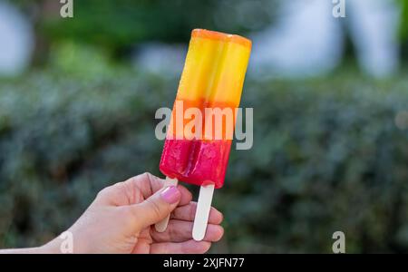 Papavero di frutta. Foto Stock