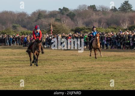 Evento annuale della giornata di pugilato per corse ippiche da punto a punto di New Forest Foto Stock