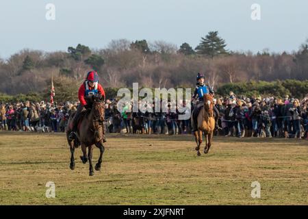 Evento annuale della giornata di pugilato per corse ippiche da punto a punto di New Forest Foto Stock