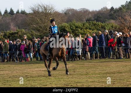 Evento annuale della giornata di pugilato per corse ippiche da punto a punto di New Forest Foto Stock