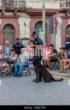 VICTORIA, GOZO - 9 LUGLIO 2024 spettacolo della polizia di Malta con i cani della polizia e i gestori della squadra K9 Foto Stock