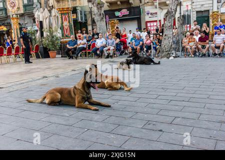 VICTORIA, GOZO - 9 LUGLIO 2024 spettacolo della polizia di Malta con i cani della polizia e i gestori della squadra K9 Foto Stock