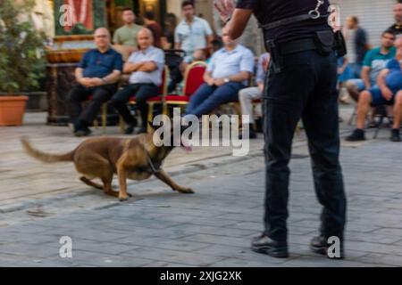 VICTORIA, GOZO - 9 LUGLIO 2024 spettacolo della polizia di Malta con i cani della polizia e i gestori della squadra K9 Foto Stock