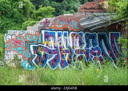 Graffiti colorati dipinti su un edificio abbandonato ad Asheville, nel River Arts District del North Carolina. (USA) Foto Stock