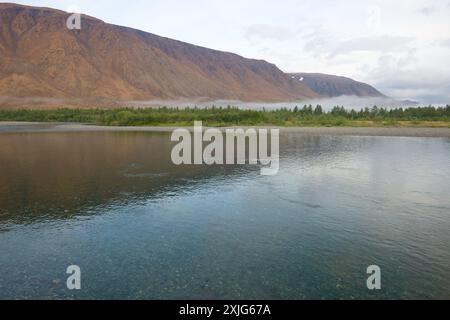 Fiume SOB trasparente in agosto mattina. Polar Ural, Russia Foto Stock