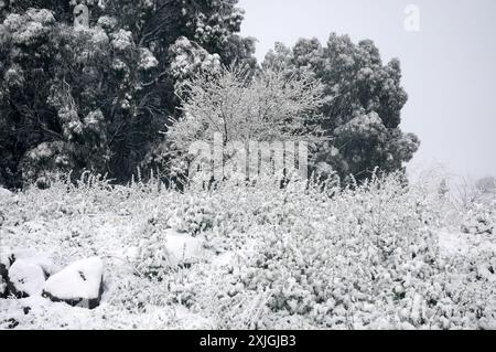 Scena di neve nelle alture del Golan, Israele Foto Stock