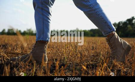 I piedi femminili dell'agricoltore attraversano il prato di grano al tramonto. Gambe di agronomo in stivali che camminano tra le piantagioni di orzo al crepuscolo. Concetto di Foto Stock