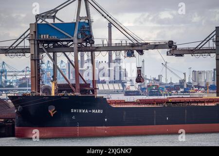 Le navi portarinfuse e le navi da carico per merci alla rinfusa quali carbone, minerali, sabbia sono scaricate nel porto marittimo di Rotterdam, Maasvlakte 2, Paesi Bassi, Foto Stock