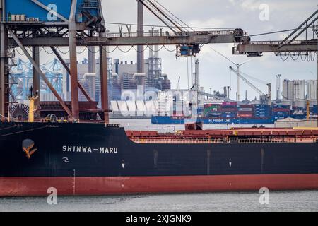 Le navi portarinfuse e le navi da carico per merci alla rinfusa quali carbone, minerali, sabbia sono scaricate nel porto marittimo di Rotterdam, Maasvlakte 2, Paesi Bassi, Foto Stock