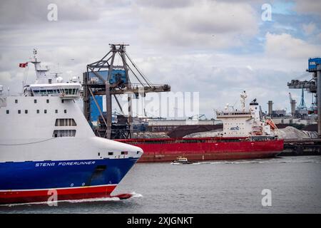 Il traghetto Stean Forerunner, la perdita del porto, la portarinfuse, la nave da carico per il carico alla rinfusa, come carbone, minerali, sabbia, viene scaricato nel porto marittimo di Rotterdam, Maa Foto Stock