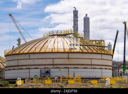 Nuova costruzione, cantiere, di una bio-raffineria della compagnia petrolifera finlandese Neste, qui, tra le altre cose, ci sono carburanti sostenibili per l'aviazione biologica Foto Stock