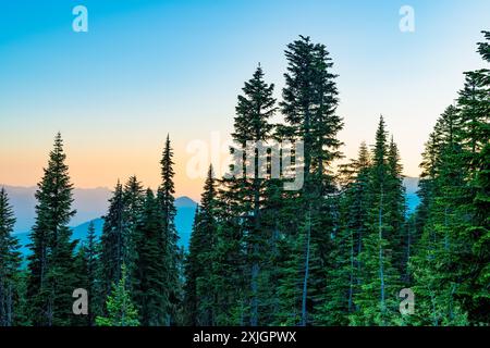 Vista panoramica del monte Rainier National Park, nello Stato di Washington, USA Foto Stock