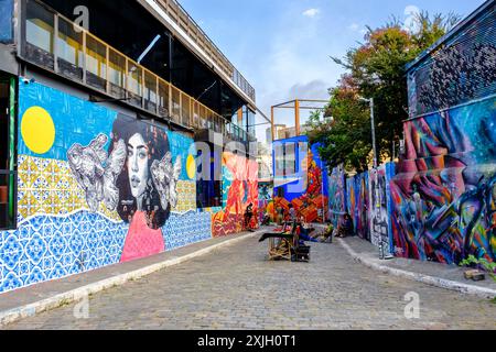 Street art brasiliana e dipinti di graffiti, murales a Beco do Batman, Batman Alley, Vila Madalena, São Paulo, Brasile Foto Stock