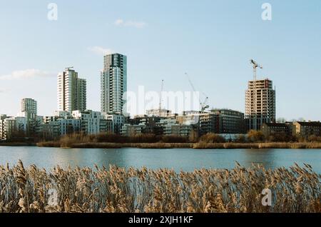 Nuovi appartamenti in costruzione, vista dalla riserva naturale Woodberry Wetlands, Londra, Regno Unito Foto Stock