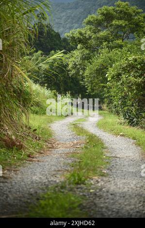 Intraprendi un tranquillo viaggio lungo il sentiero escursionistico, immergendoti nella tranquillità della natura, ideale per passeggiate a piedi o in bicicletta. Foto Stock