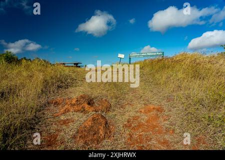 Coalstoun Lakes National Park, Queensland, Australia Foto Stock