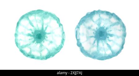 Set di meduse blu/verdi. Acquerello con figure sfocate e sfocate, come fette di agrumi astratti o fiori. Vista dall'alto. Clip art per animali. Illustrazione del mare. Foto Stock