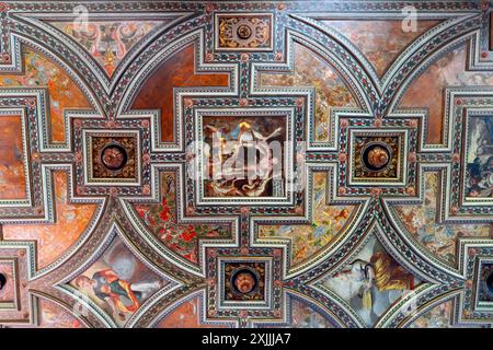 La sala grande con soffitto a cassetta in legno che ha origine dal castello di Dobrovice presso il castello di acqua di Švihov, (Vodni Hrad Svihov), Repubblica Ceca. Foto Stock