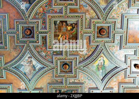 La sala grande con soffitto a cassetta in legno che ha origine dal castello di Dobrovice a Water CastleŠvihov, (Vodni Hrad Svihov), Repubblica Ceca. Foto Stock