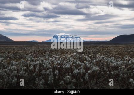 Vista del famoso vulcano Herdubrade in Islanda Foto Stock