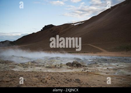 Fanghi bollenti e mozzafiato nella zona geotermica di Myvatn Foto Stock