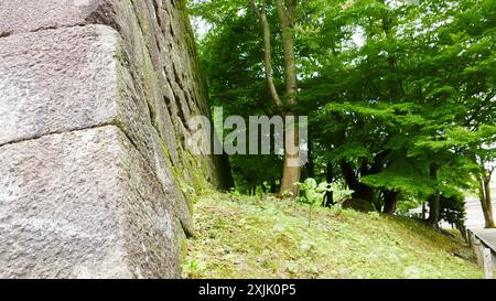 Castello di Kanazawa situato nella prefettura di Ishikawa, Giappone Foto Stock