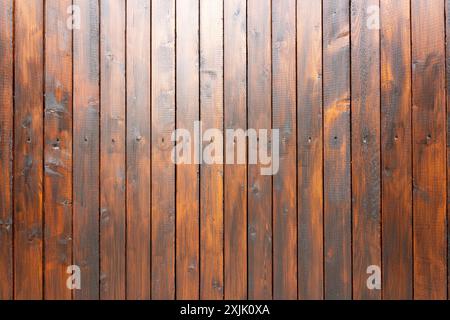 Primo piano di pareti in legno con linguetta e pannello scanalato, verniciato con vernice trasparente. Riflessi luminosi del cielo nella parte superiore della fotografia. Foto Stock
