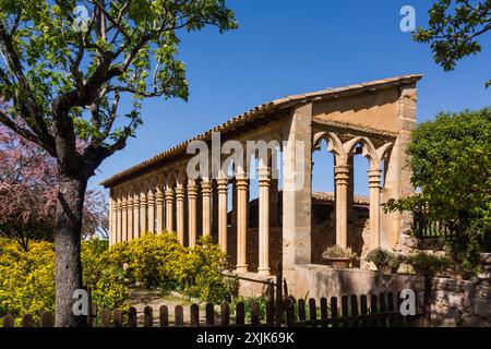 Monastero di Miramar, archi gotici del XIII secolo dell'ex convento di Santa Margalida a Palma, Valldemossa, Sierra de Tramuntana, Maiorca, Spagna. Foto Stock