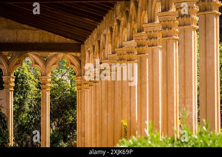 Monastero di Miramar, archi gotici del XIII secolo dell'ex convento di Santa Margalida a Palma, Valldemossa, Sierra de Tramuntana, Maiorca, Spagna. Foto Stock