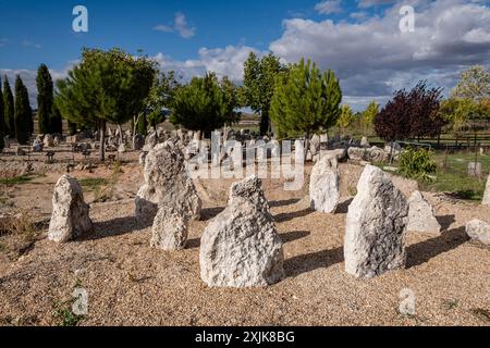 La stele funeraria di Vacceos, necropoli di Las Ruedas, antica città di Vaccea di Pintia, Padilla de Duero, provincia di Valladolid, Spagna Foto Stock