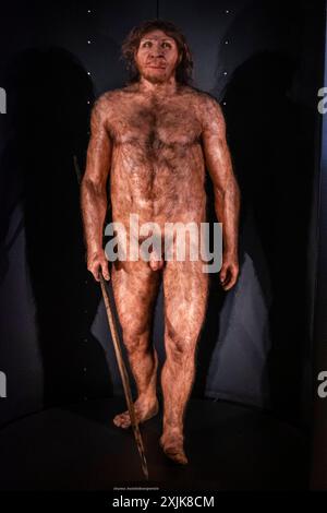 Homo heidelbergensis,Museo de la Evolución humana, MEH, Burgos , Spagna Foto Stock