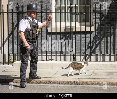 Londra, 19 luglio 2024. Un amico agente di polizia sveglia un Larry che snooze e lo accompagna sul marciapiede in modo che alcune delle auto possano andarsene. Larry il gatto, il capo di Downing Street Mouser, coglie il suo momento alla ribalta correndo sul tappeto rosso e prendendo il sole in mezzo alla strada, entrando e uscendo ripetutamente dal numero 10 questa mattina durante la visita di Volodymyr Zelenskyy, presidente dell'Ucraina di oggi. Crediti: Imageplotter/Alamy Live News Foto Stock