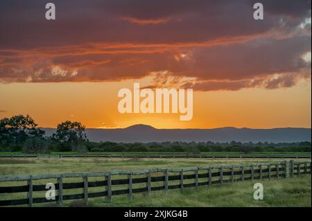 Un tranquillo e sereno paesaggio paludoso con un'antica recinzione di bestiame in legno, su uno spettacolare tramonto autunnale nel Queensland centrale, Australia. Foto Stock