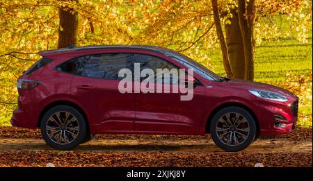 Un SUV moderno ed elegante - Ford Kuga - ST-Line. Foto Stock