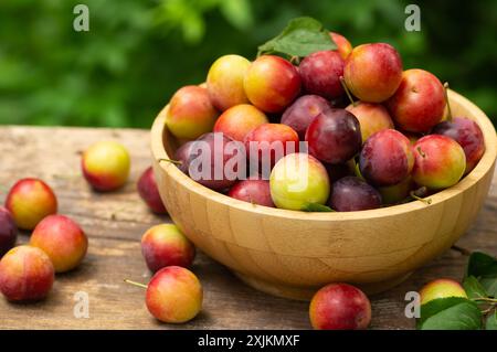 Prugne rosse biologiche fresche in ciotola su un tavolo di legno in giardino, frutta secca Foto Stock