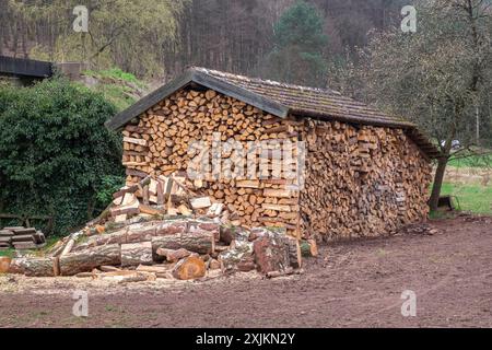 Asciugatura ordinata della legna da ardere in un capannone con tetto aperto, Palatinato, Renania-Palatinato, Germania Foto Stock