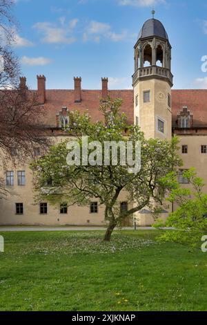 Casa di Martin Lutero, cortile interno, città di Lutero Wittenberg, Sassonia Anhalt, Germania Foto Stock