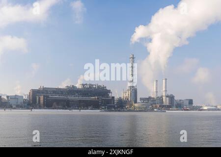 Stabilimento BASF sulle rive del Reno, società chimica, Foggy Mood, Ludwigshafen, Renania-Palatinato, Germania Foto Stock