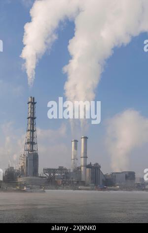 Stabilimento BASF sulle rive del Reno, società chimica, Foggy Mood, Ludwigshafen, Renania-Palatinato, Germania Foto Stock